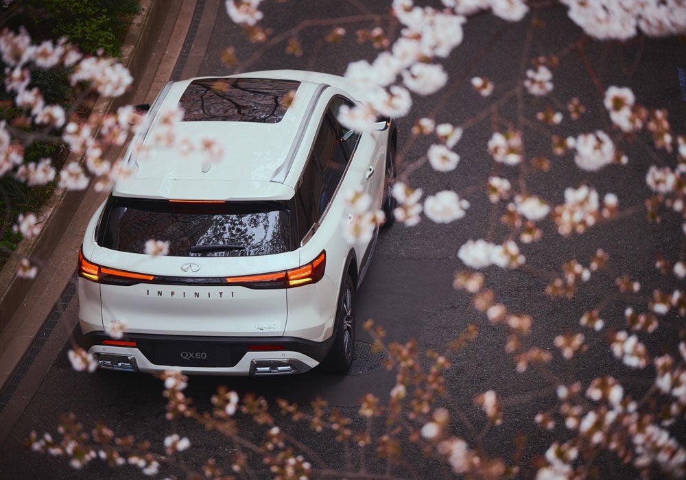 2025 INFINITI QX60