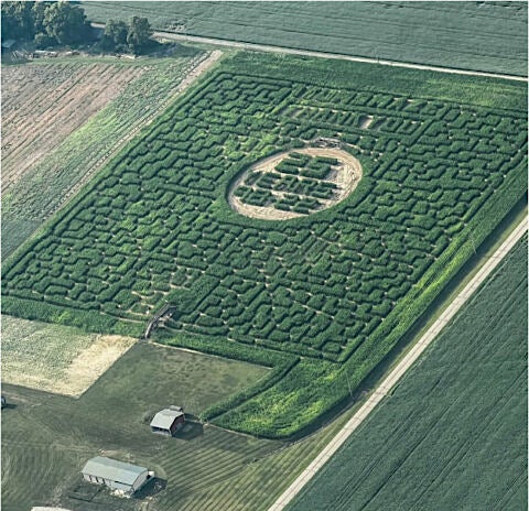 Toms Maze