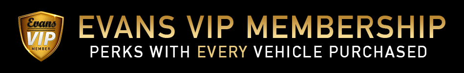 Evans VIP Banner